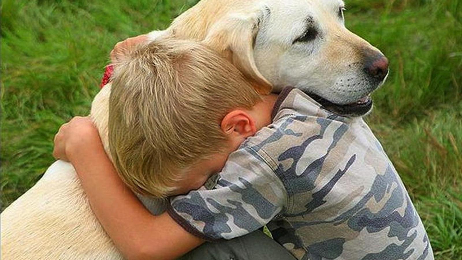 Почему мама собака. Собака друг человека. Животные друзья человека. Домашние животные и человек. Собака для детей.