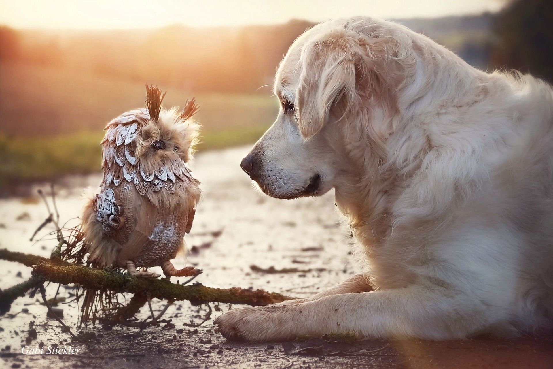 Пес любовный аромат. Дружба животных. Дружба животных разных видов. Необычная Дружба. Трогательная собака.