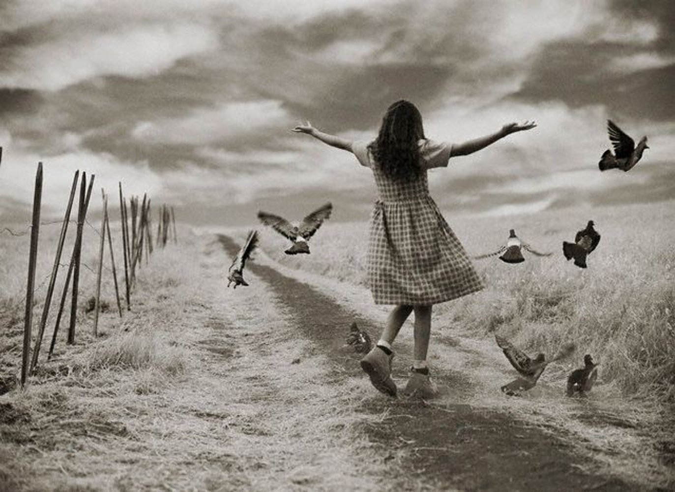 Жити будете. Убегать от счастье. Девушка бежит за птицами. Странное счастье. Девушка свободна.