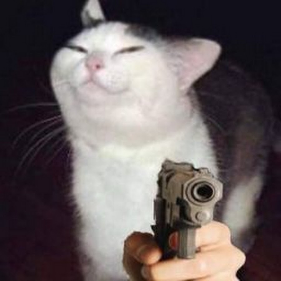 Кот угрожает. Кот с пистолетом. Котя с пистолетом. Кот с пистолетом в руках. Кот с револьвером.
