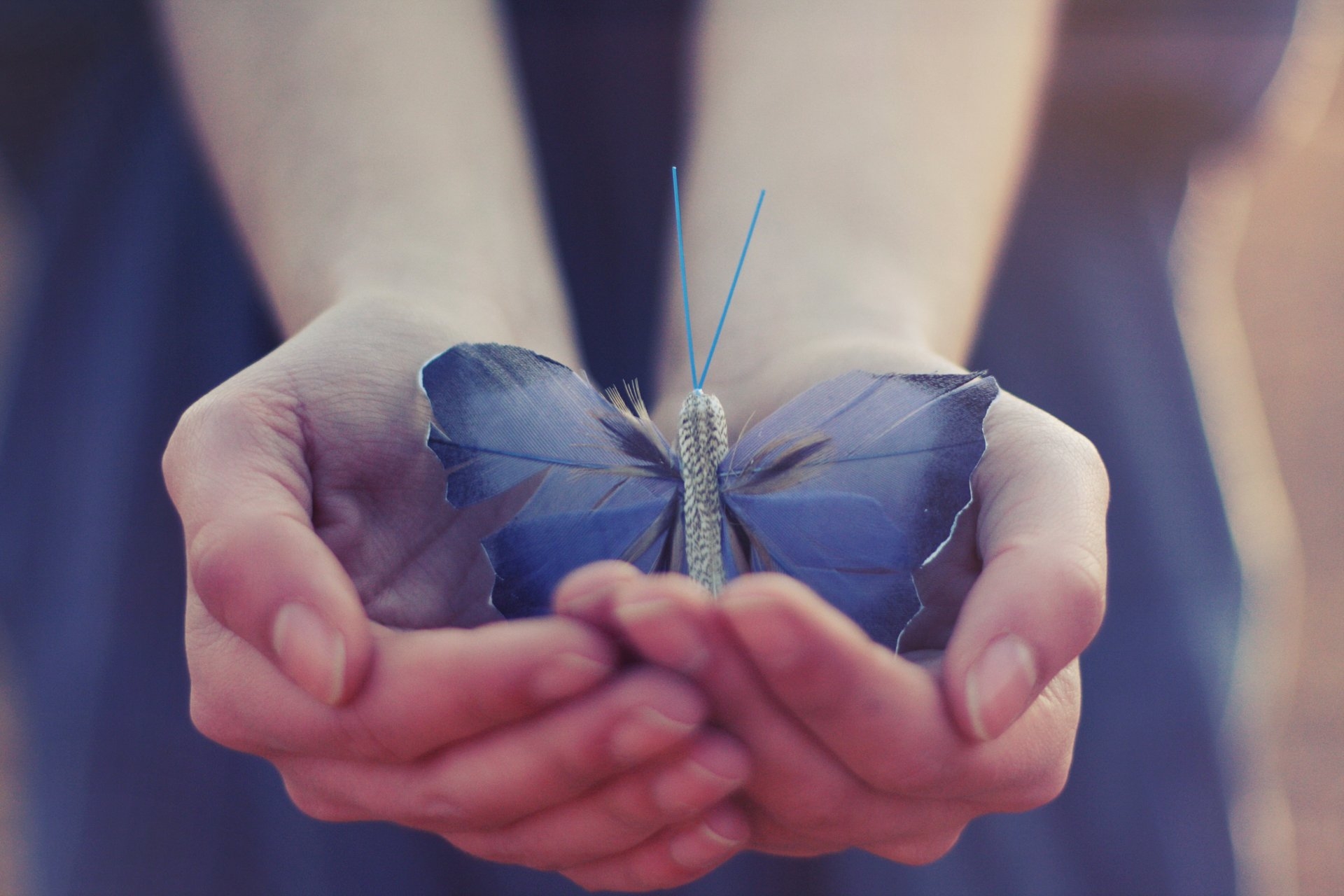 Доверие души. На руку бабочка. Бабочка на ладони. Счастье бабочки. Бабочка в ладошках.