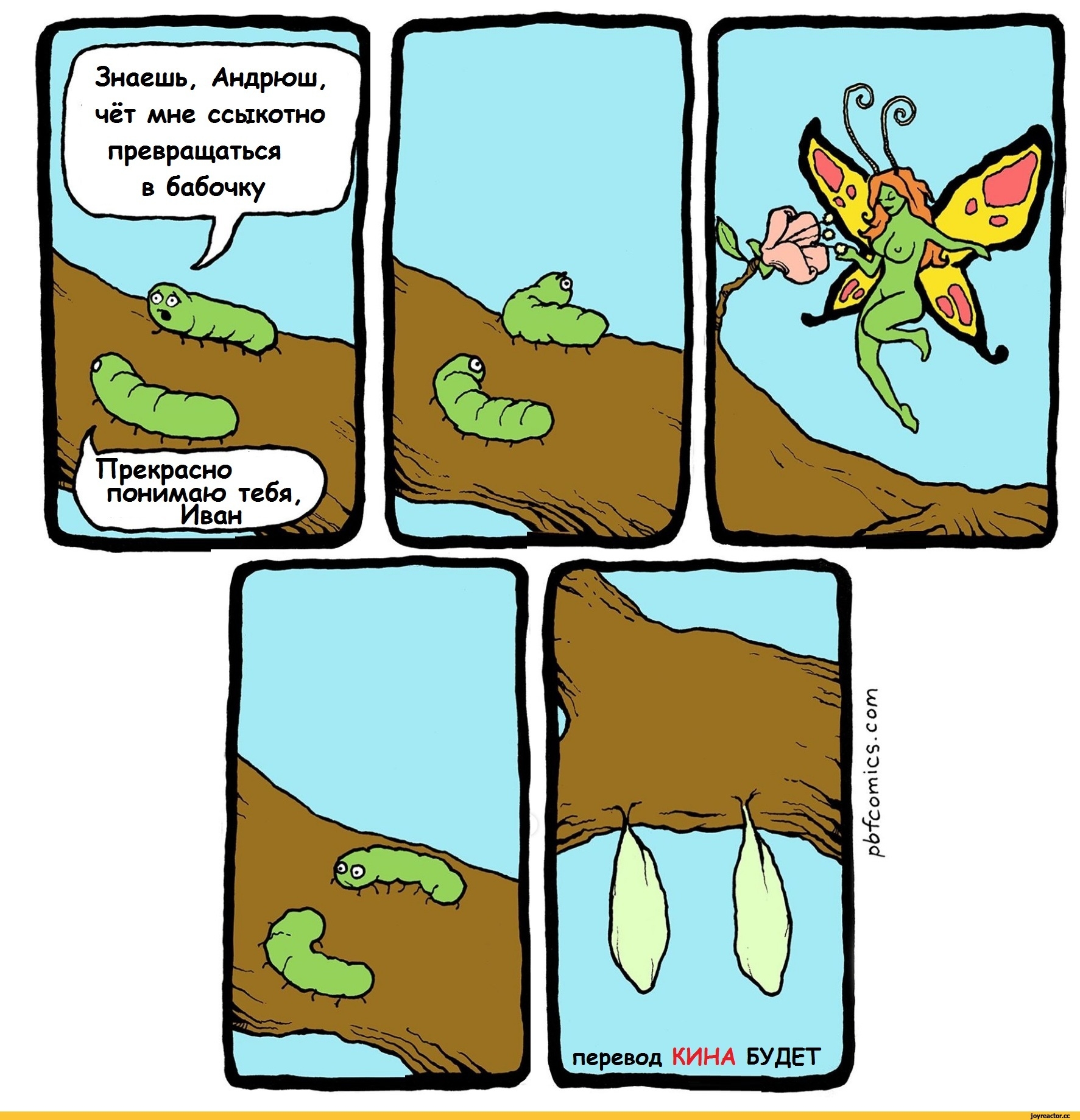 Хотела стать бабочкой. Бабочка комикс. Шутки про бабочек. Приколы про насекомых. Насекомые юмор.