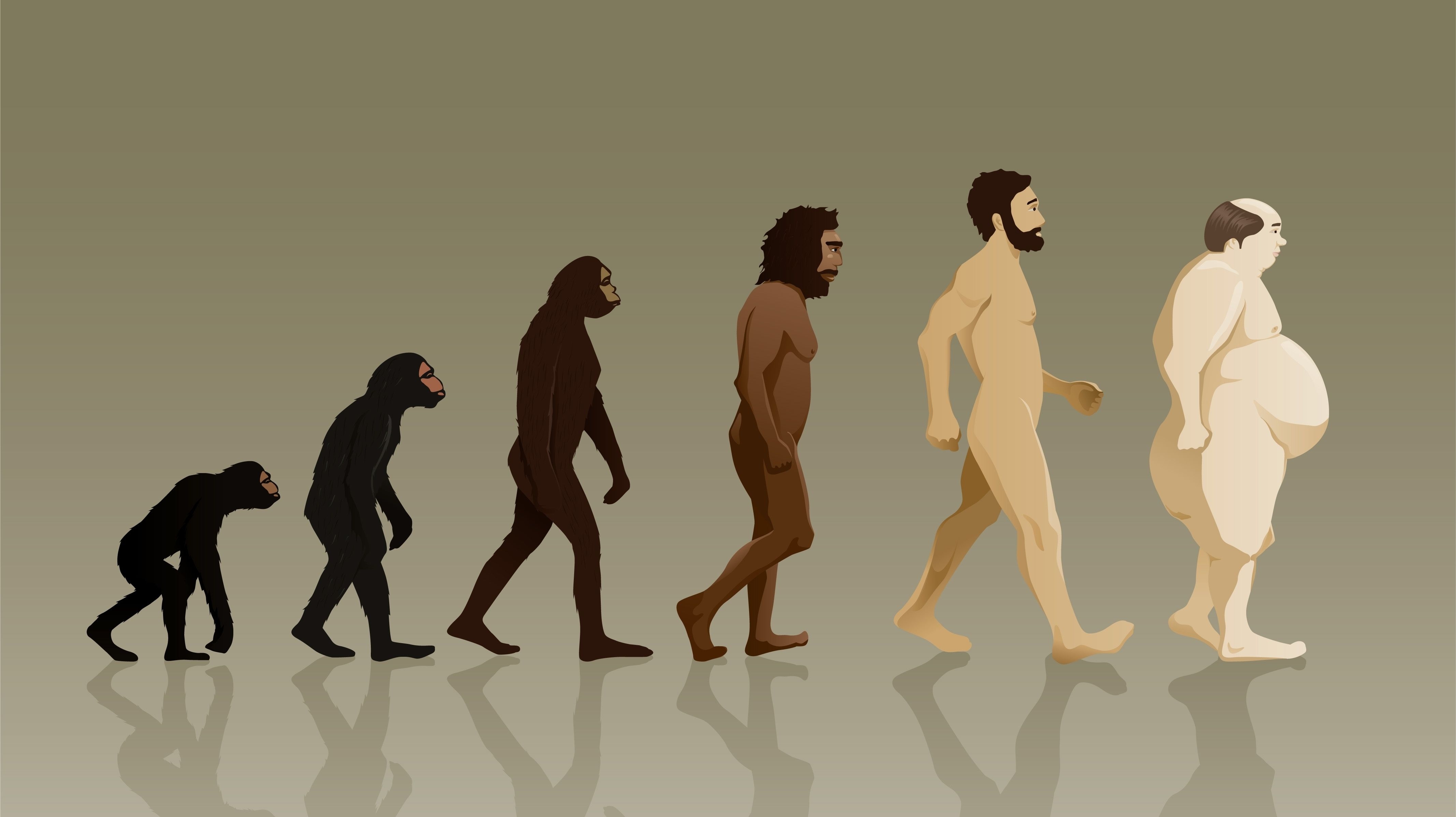 Крупное эволюционное изменение. Эволюция Дарвин хомо сапиенс. Хомо сапиенс Эволюция женщины. Этапы эволюции хомо сапиенс. Хрпмосапиенс Эволюция.