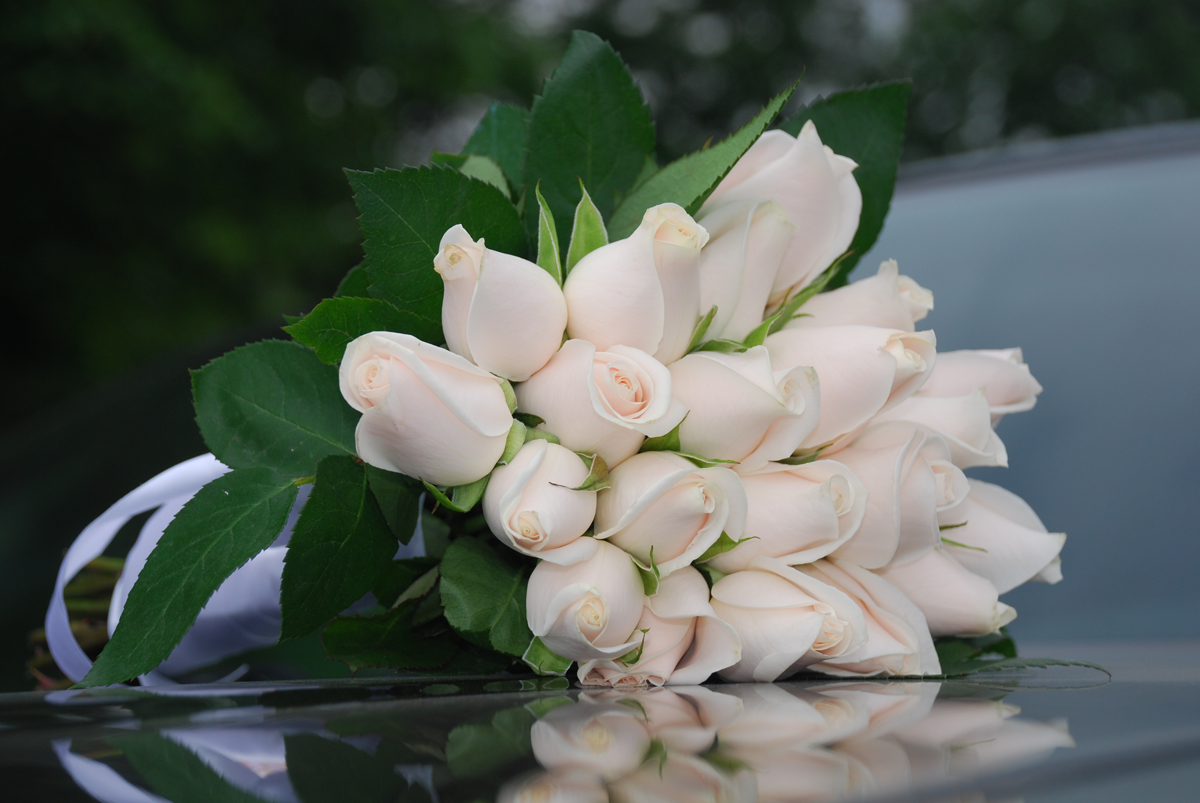 Букет цветов счастье. Открытки с белыми розами. Открытки с днем рождения белые розы. Букет белых цветов. Букет белых цветов с днем рождения.