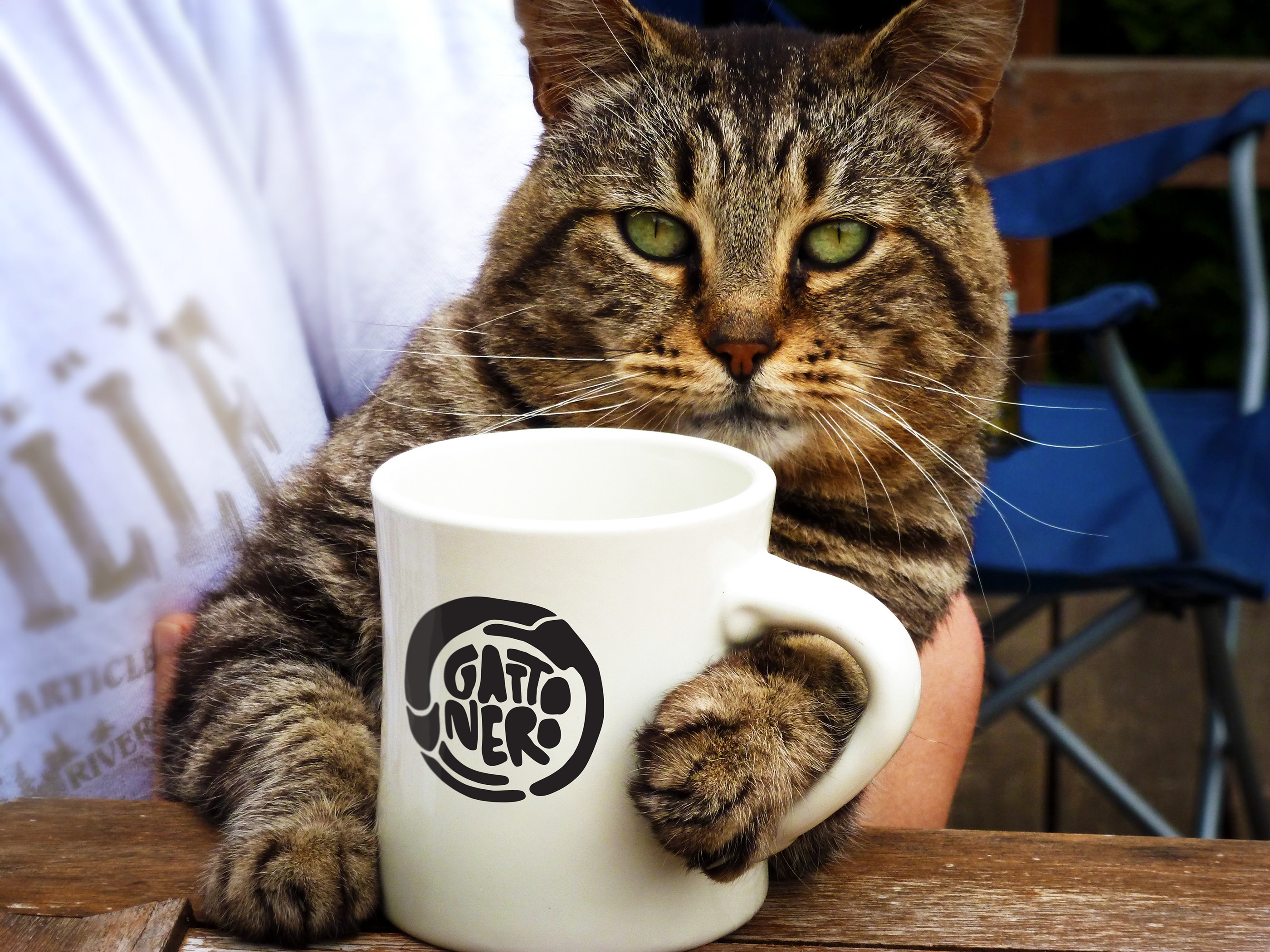 Утро котики картинки. Котик пьет кофе. Доброе утро кот. Чашка с кошкой. Кот с чашкой кофе.