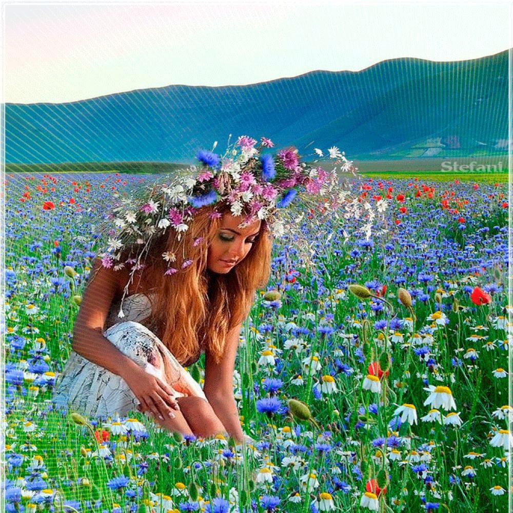 1 июль тепло. Девушка лето. Летние полевые цветы. Девочка с полевыми цветами.