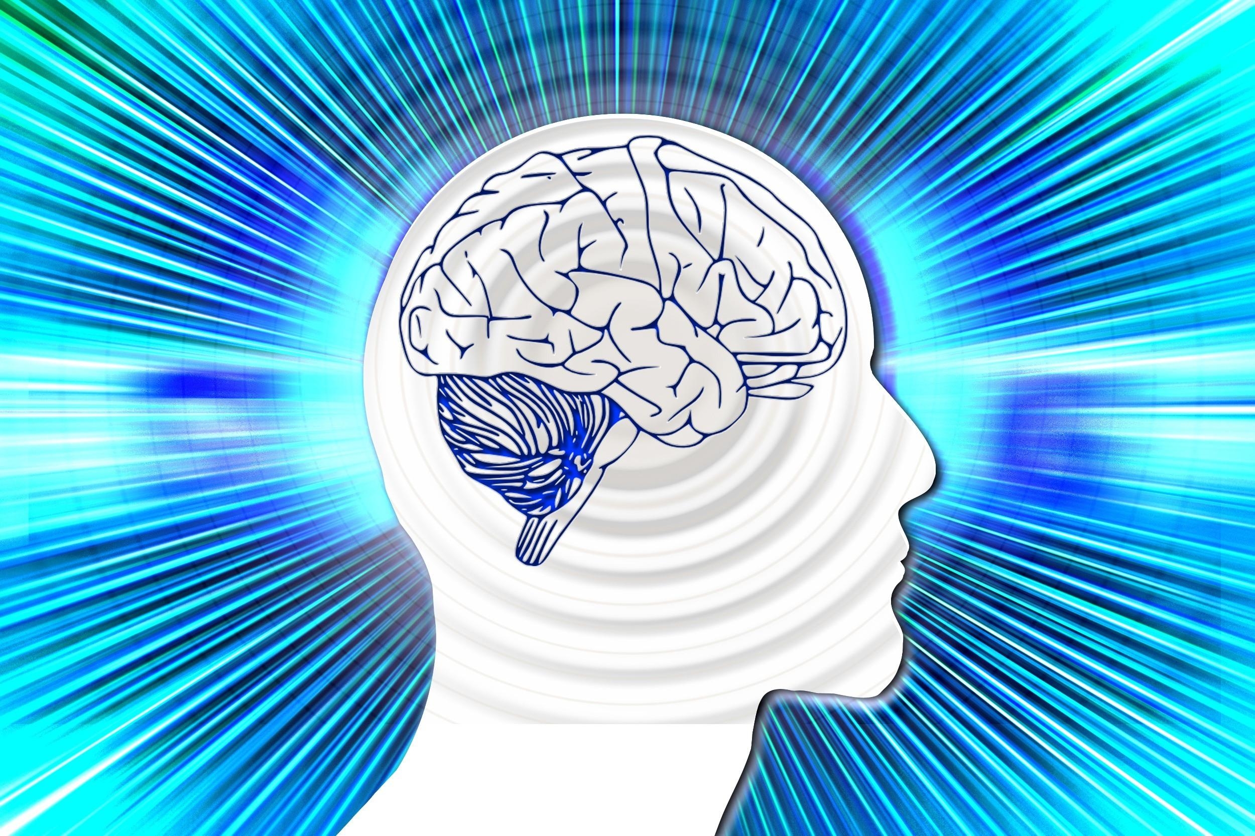 Оперативная память человека это. Мозг мышление. Мозг память. Мозг человека психология.