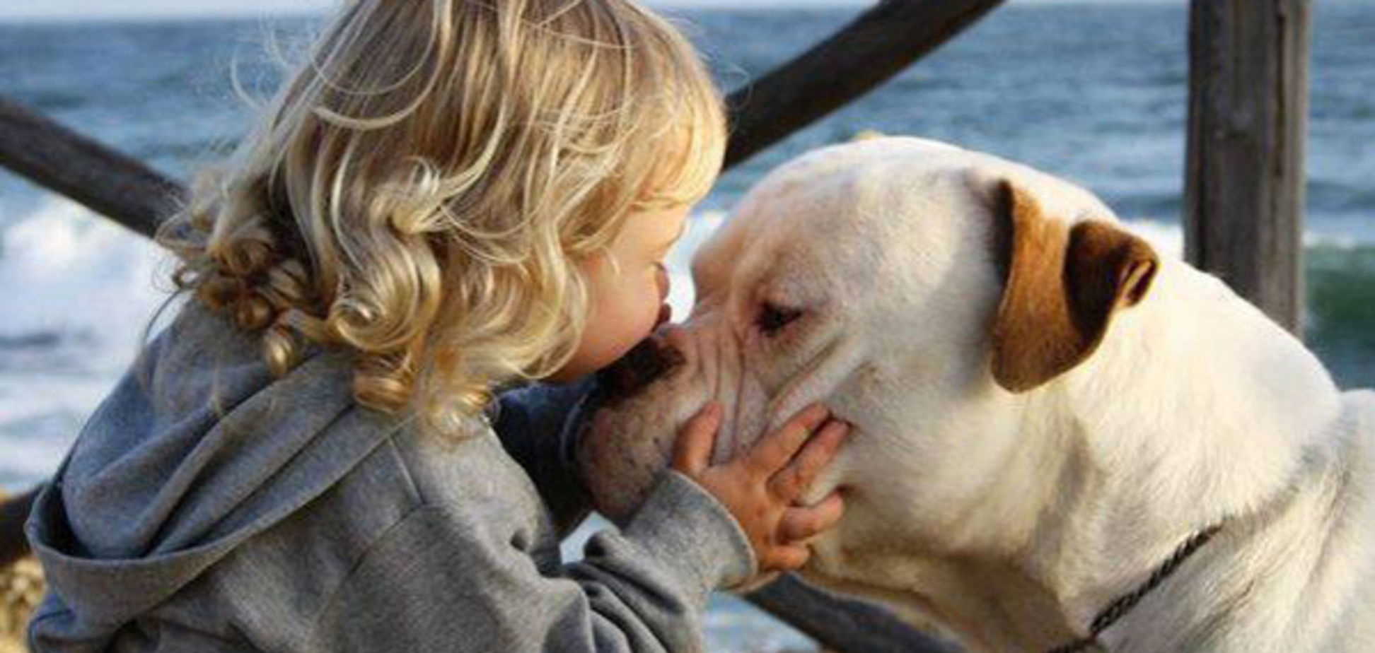 Любовь к животным. Доброе отношение к животным это. Доброта к животным. Проявление любви к животным. Сочувствие животным
