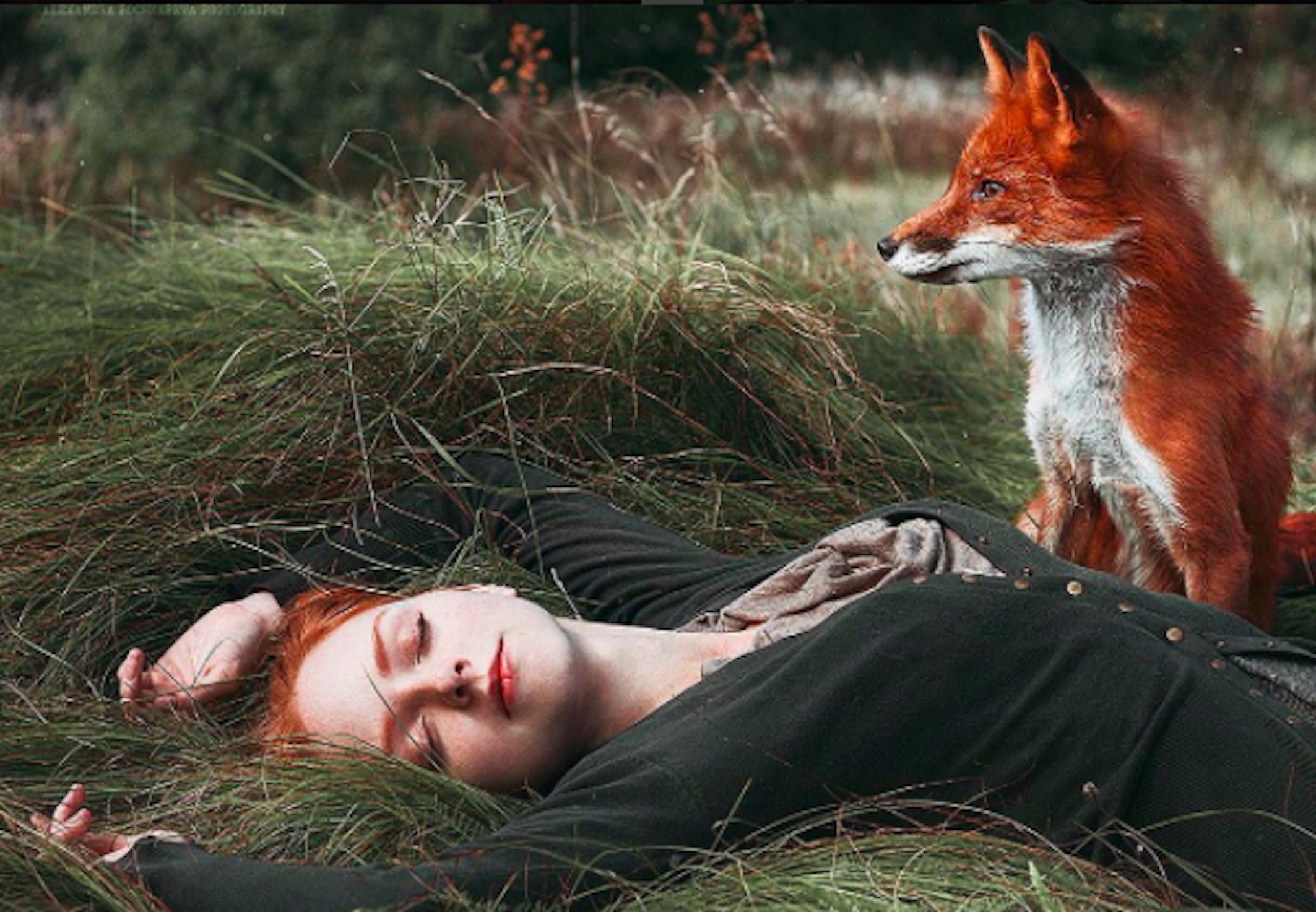 Рыжая лиса во сне. Девушка с лисенком. Рыжая девочка с лисой. Девушка и лиса.