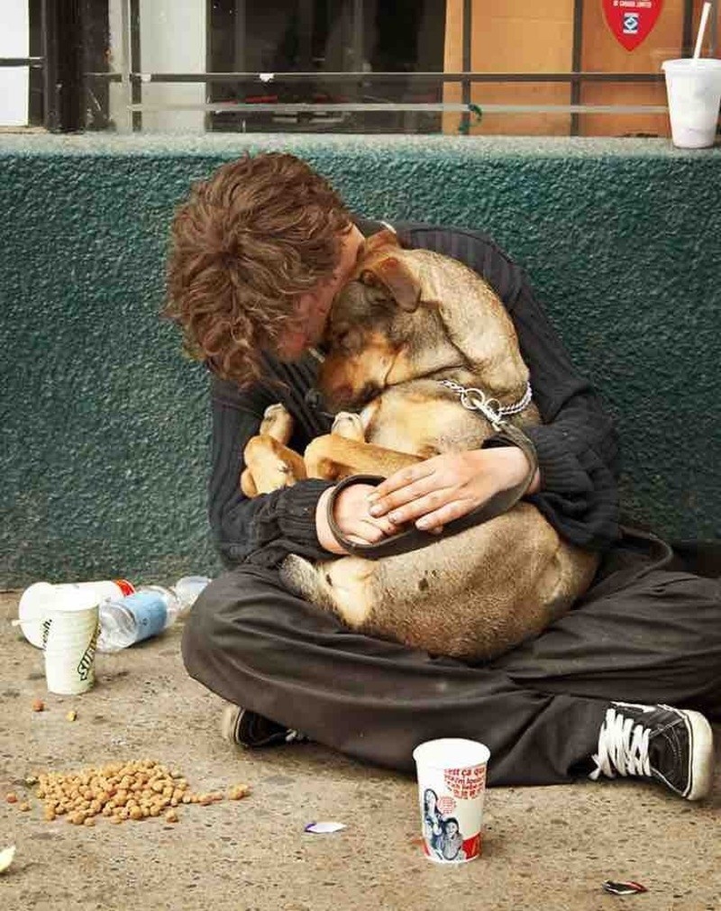 Сочувствие животным. Бездомные животные. Бездомные собаки. Трогательные животные.
