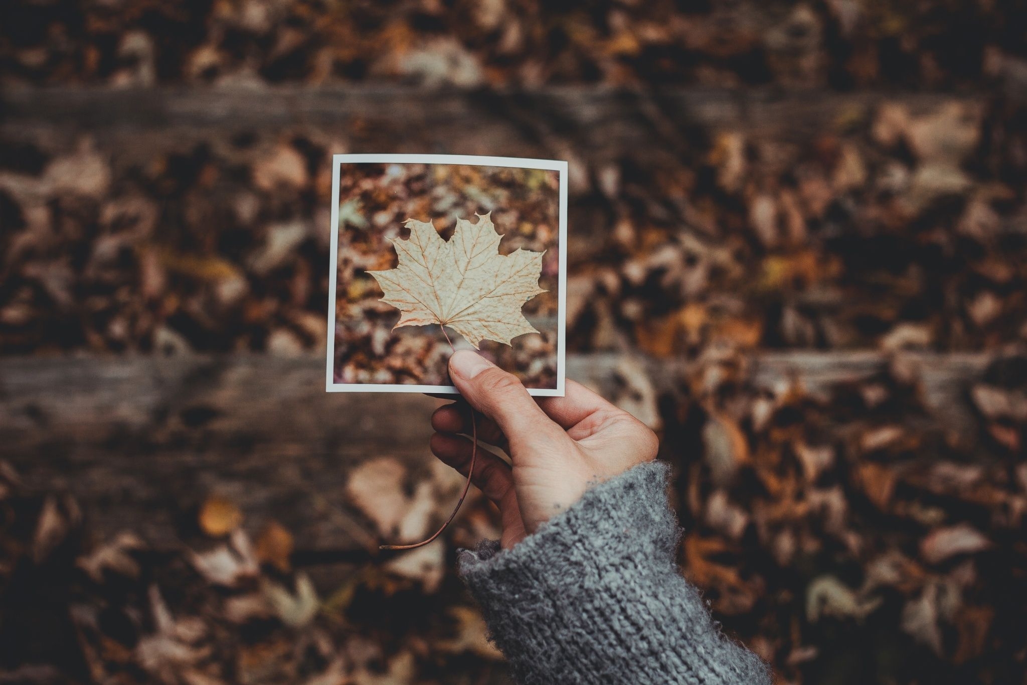 Осенняя эстетика - 78 фото