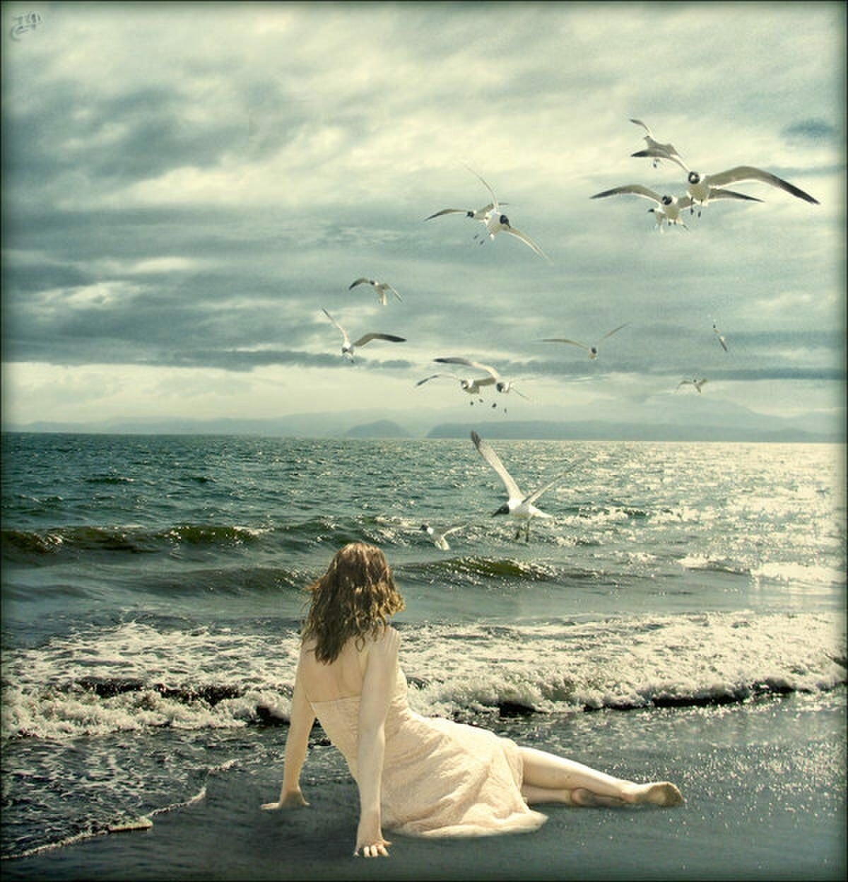 О чем мечтают птицы. Девушка на берегу. Девушка-море. Девушка море Чайки. Девочка на море.