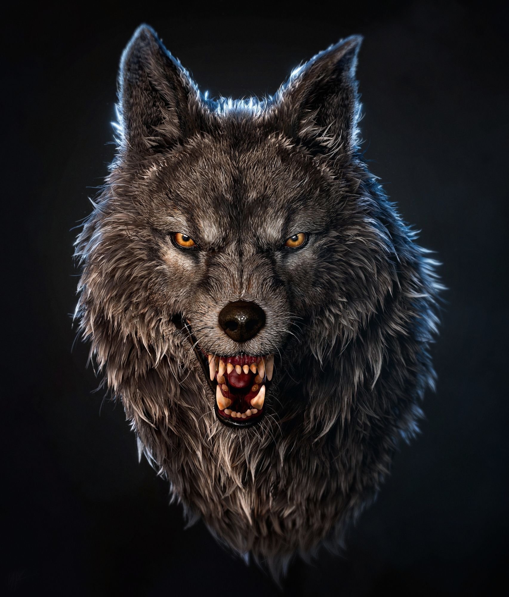 Волк оскал арт - 68 фото