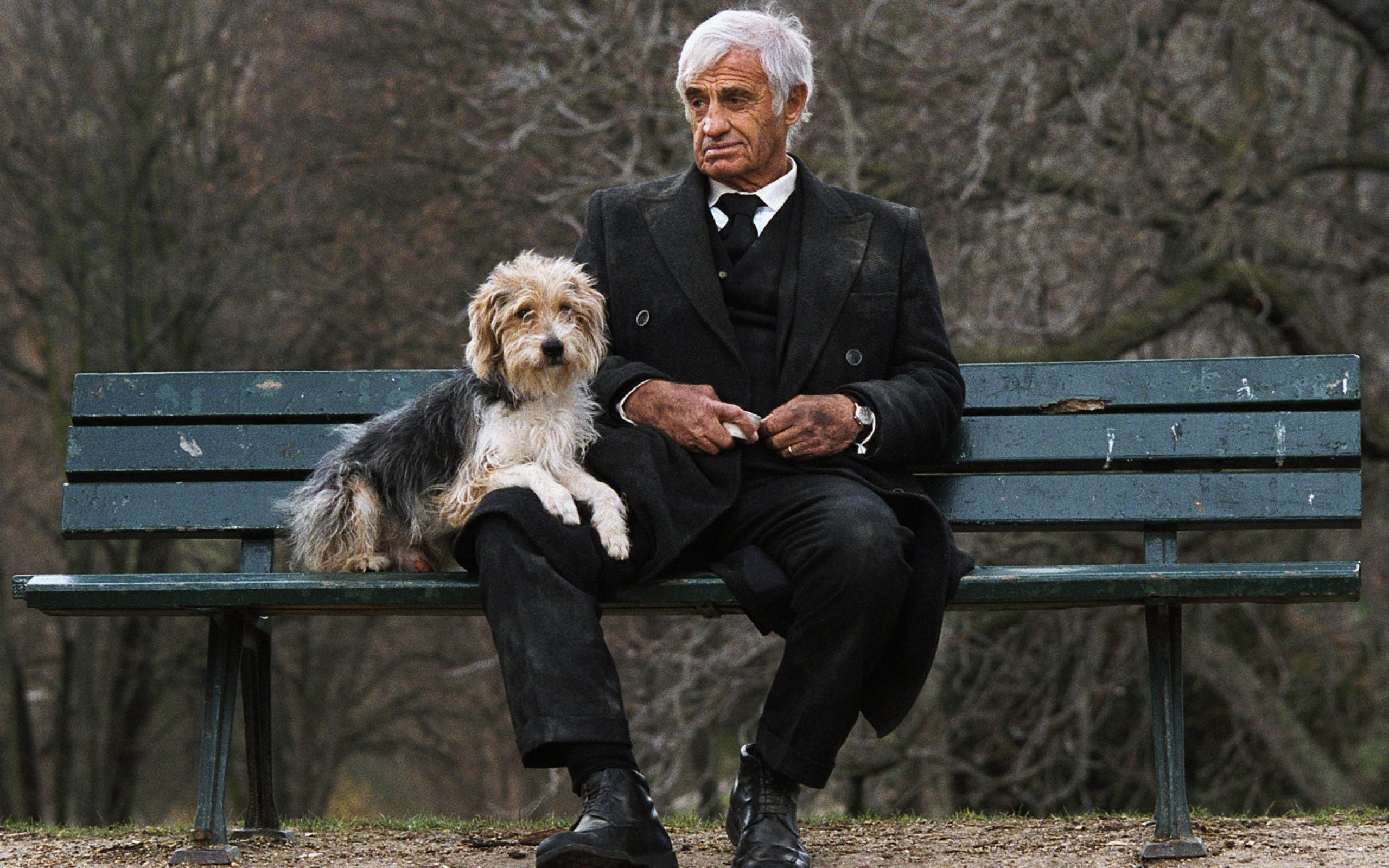 Пес вдова. Человек и его собака Бельмондо. Человек и его собака 2008. Старик и собака. Собаки для старых людей.