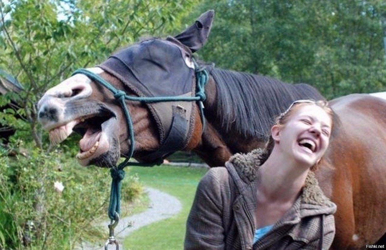 Приколы ржака до слез. Смешная лошадь. Лошадь ржет. Лошадь смеется. Лошадь с девушкой смеется.