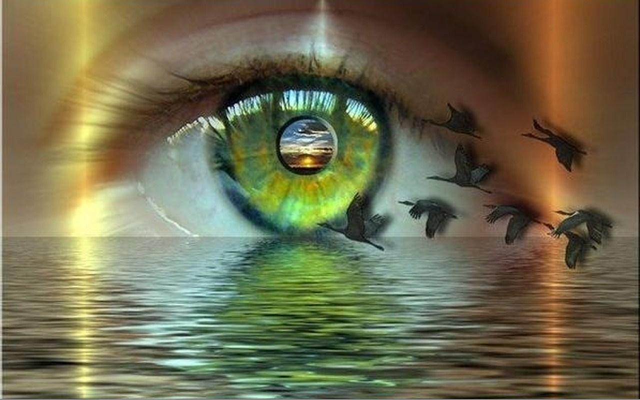 Я хочу видеть мир. Отражение в глазах. Счастье в глазах. Глаза природы. Красота отражается в глазах.
