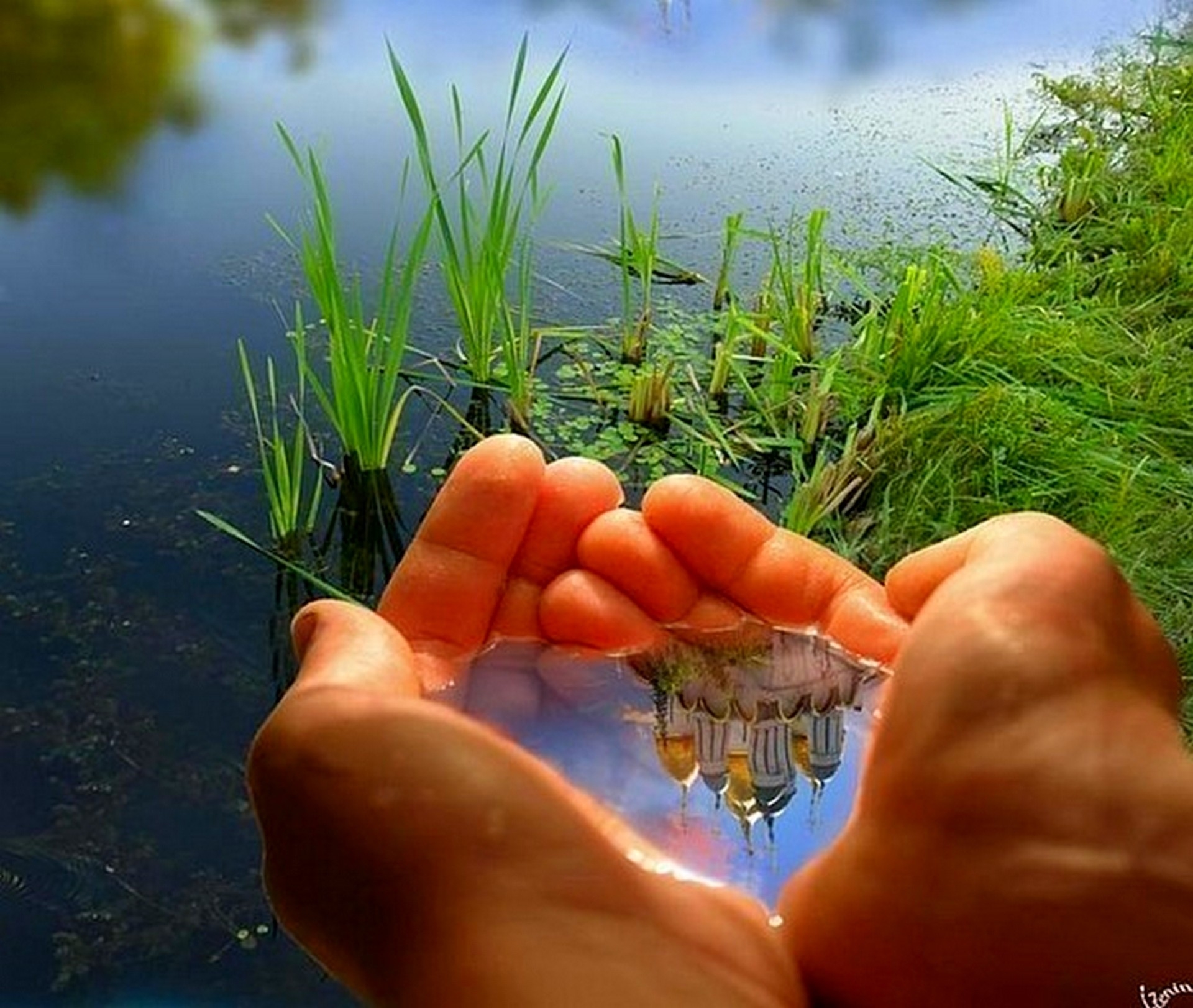 Природа хочет жить. Душевная чистота. Вітаю з чистим четвергом. Чистая вода. День любви к природе.