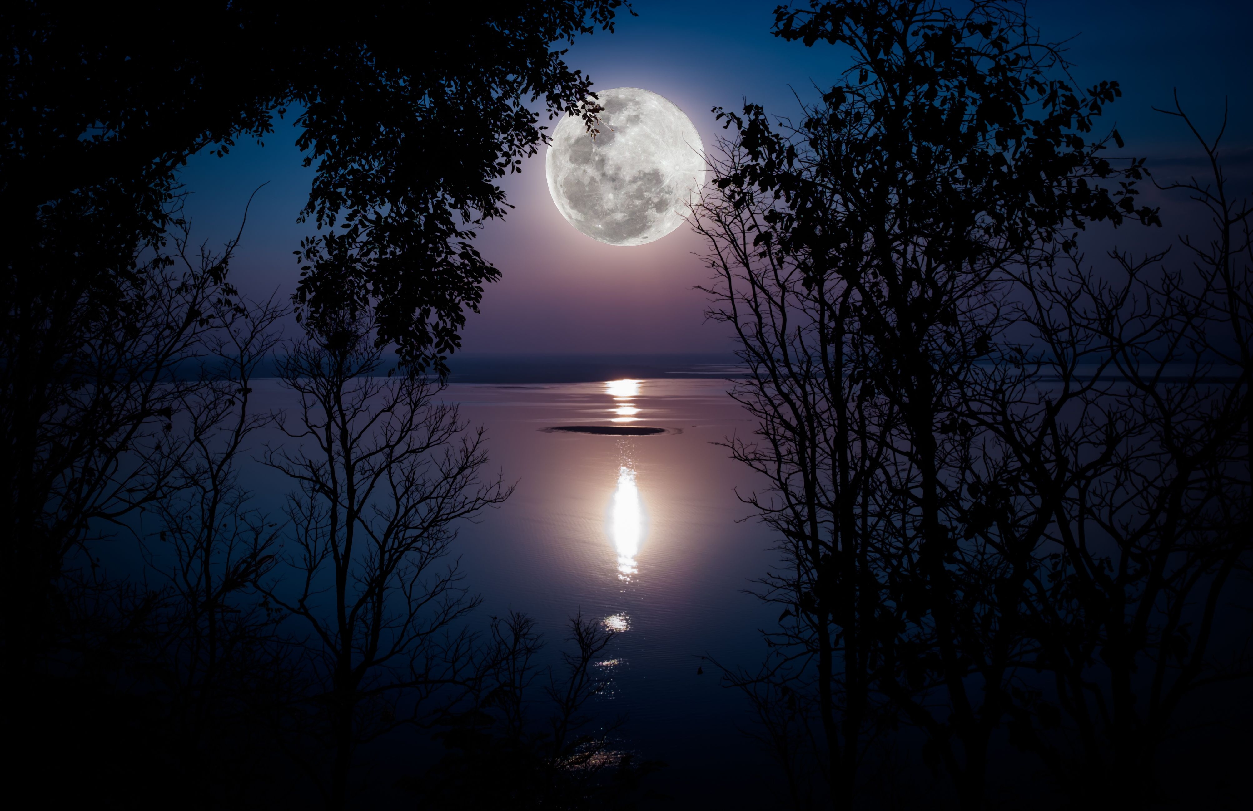 Луна озера ночи. Лунная ночь. Природа ночью. Ночь Луна. Красивая Луна.