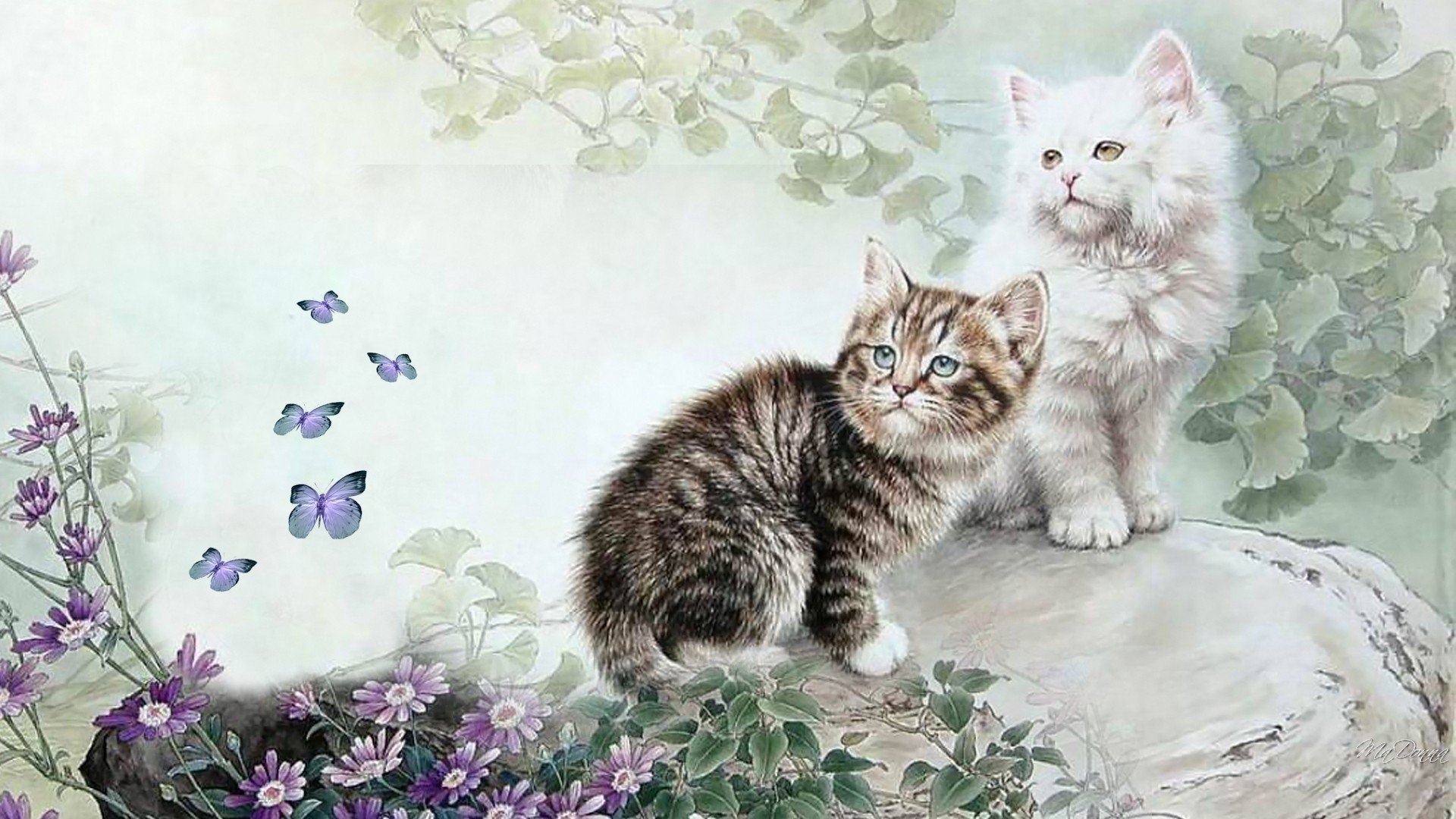 Красивые открытки с кошками. Нежные котята. Фотообои котята. Обои с котятами. Картина котенок.