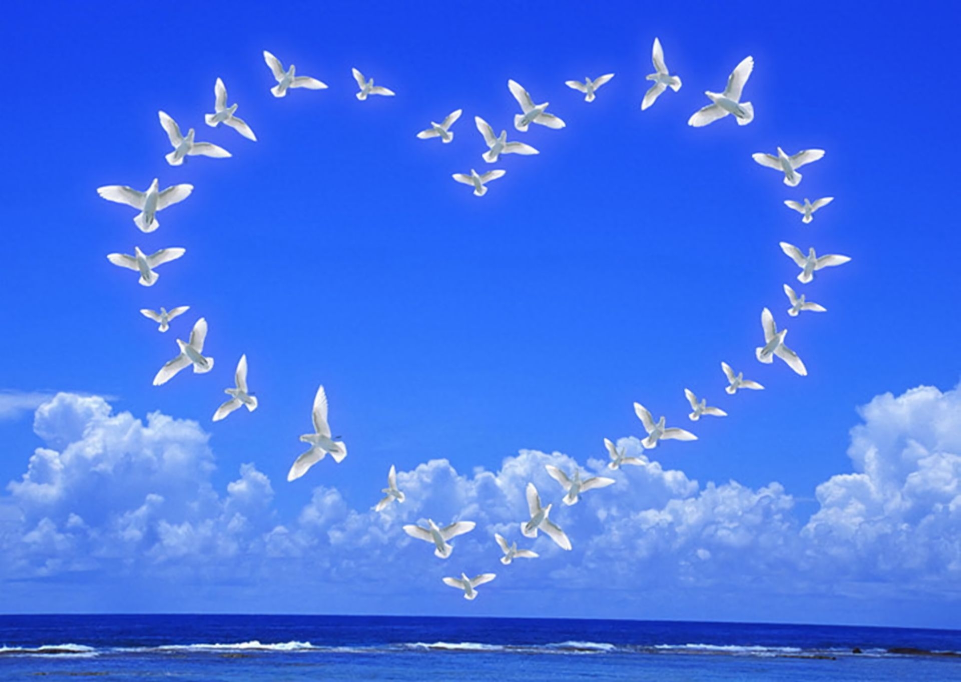 Пролетели года словно птицы. Голубое мирное небо. Счастье у моря. Счастье небо. Мирного неба над головой.