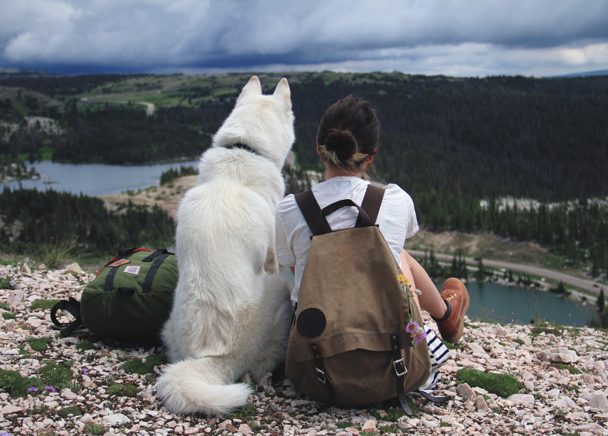 Хорошо годиться. Собака в походе. Собака путешественник. Туризм с собакой. Поход с собакой в горы.