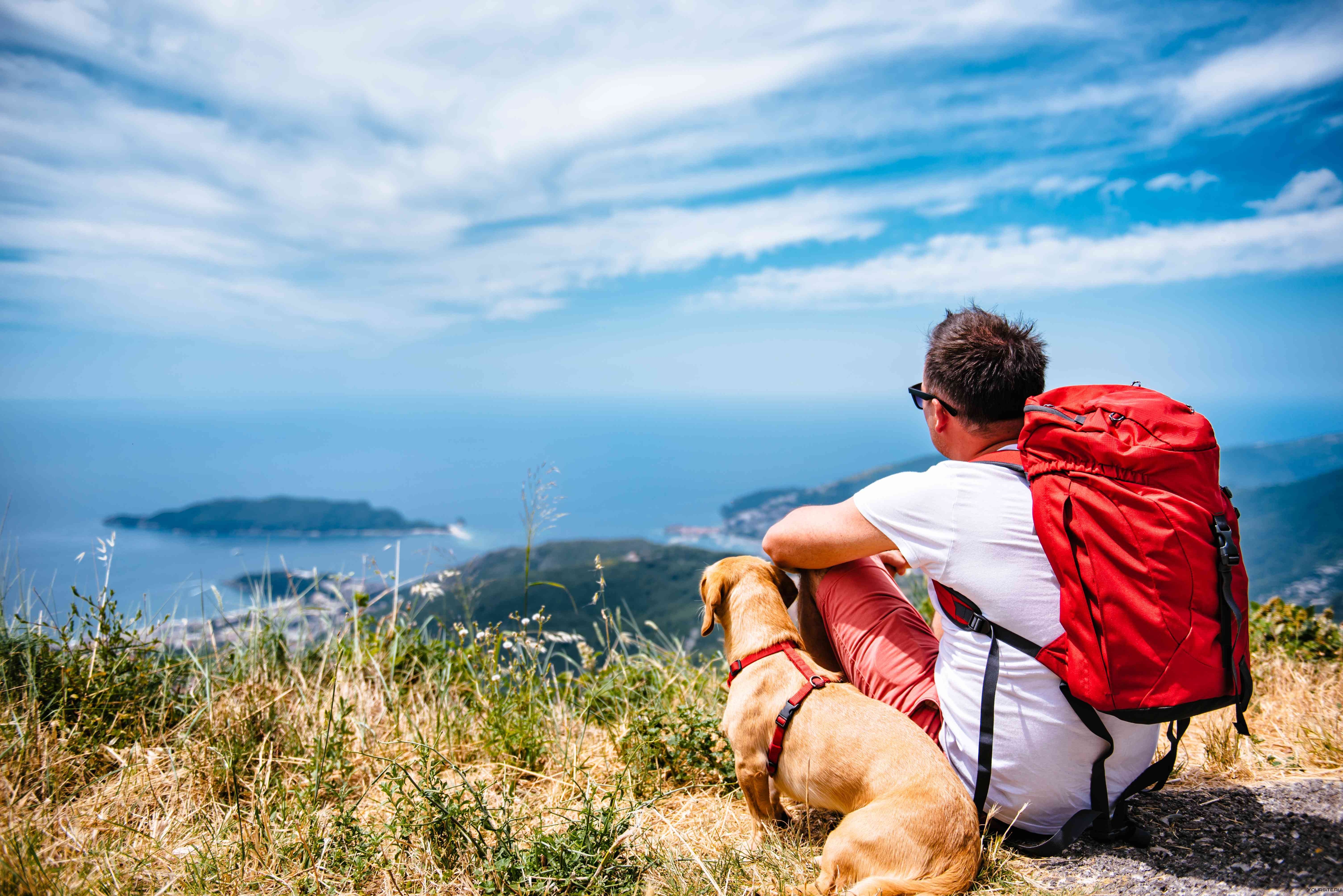 Путешествия размышления. Путешествие с собакой. Человек путешествует с собакой. Человек с собакой на природе. Люди в путешествии.